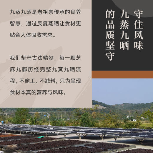 【买3赠1、实发4罐】素食星球 九蒸九晒黄精芝麻丸 200g/罐【20粒】 商品图3