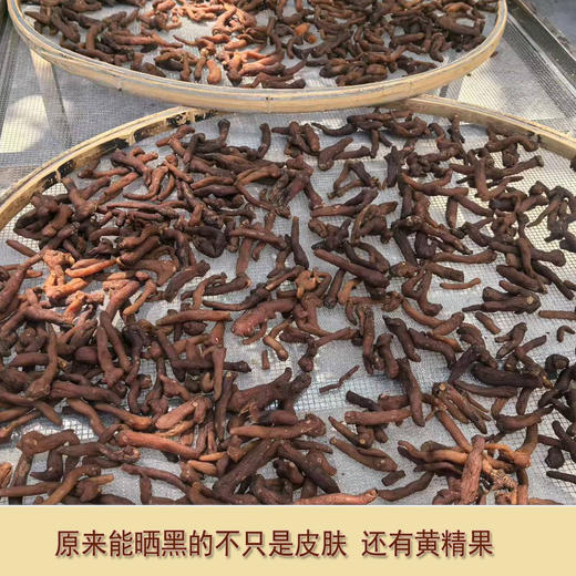 【质地软糯口感香甜❗️味道醇厚富含多糖】好吃袋装黄精果九制黄精九华山仙人余粮独立包装即食黄精煲汤泡茶。jc 商品图2