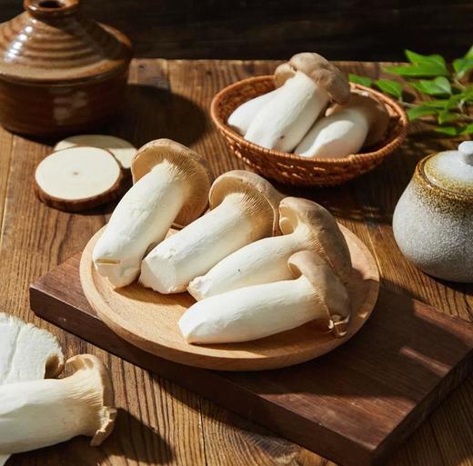 有机杏鲍菇 商品图2