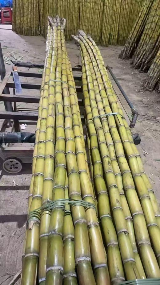 黄金甘蔗 ，口感脆甜 可削皮，活动价2.98元一斤，随其它水果满百包送 商品图4