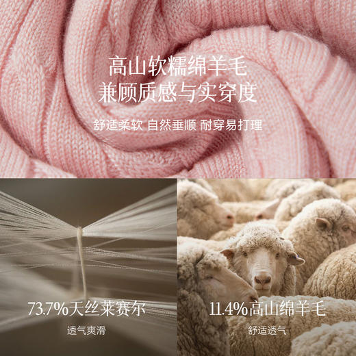 【严选】诗凡黎撞色假两件绞花针织开衫2026春新款刺绣圆领拼接设计感毛衣7HC430541 商品图2