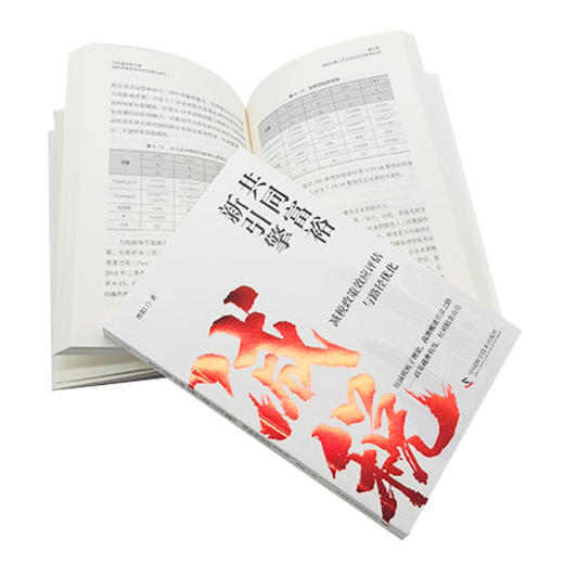 共同富裕新引擎：减税政策效应评估与路径优化 商品图4