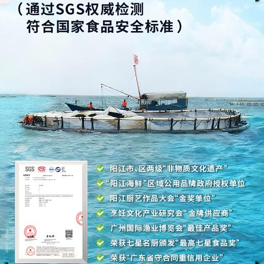 【广东阳江·海水鲷鱼】疯抢中！！顺丰直发【仅含一条主骨无小刺、老人儿童放心吃！】免杀免处理 肉质紧实 鲜美嫩滑 营养丰富 约1500g/冷链包装 商品图10