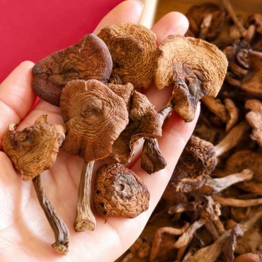 东北有机野生榛蘑【纯野生，稀有品，量较少】 商品图0