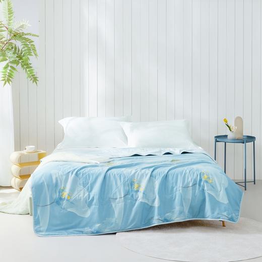 罗莱辽源栎丝™全棉可水洗蚕丝夏被200*230【分仓直发，72小时发货，周末节假日不发货】 商品图0