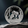 2026年熊猫150克银币带盒 商品缩略图0