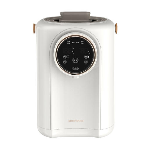 大宇电热开水瓶DYSP-3018【分仓直发，72小时发货，周末节假日不发货】 商品图1