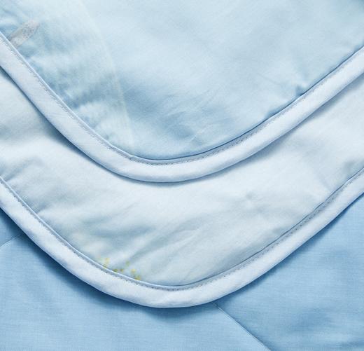 罗莱辽源栎丝™全棉可水洗蚕丝夏被200*230【分仓直发，72小时发货，周末节假日不发货】 商品图5