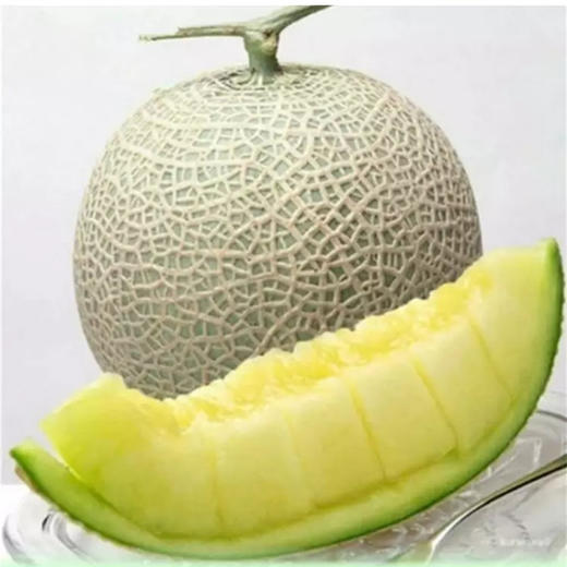 海南  玫珑网纹瓜  多规格任选 商品图0