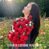 【品牌直发】加倍生活 玫瑰花束毯 4色可选 手工编织送礼毛毯 鹿毛绒针织毛毯 竹绒毯 玫瑰花保暖针织毯子情人节三八节女神节礼物 送爱人送自己 商品缩略图4