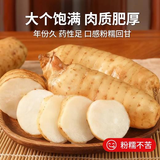 在菌屋 云南昭通新鲜天麻500g 现挖特大麻王 真空包装 商品图4