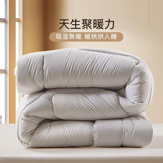 【临时特惠】富安娜卓萃新西兰羊毛冬厚被203*229【分仓直发，72小时发货，周末节假日不发货】 商品图1