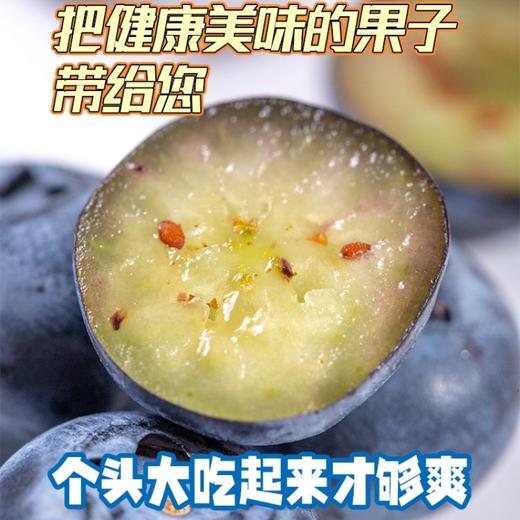 云南·花香蓝莓 #香甜爽口，鲜嫩爆浆，果香浓郁，现摘现发，护眼佳果 商品图8