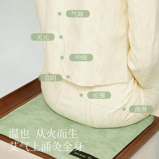 左点养生娘娘艾草热敷坐垫 商品图2