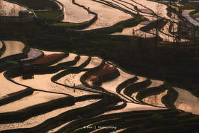 元阳梯田“灌水期”（多依树、老虎嘴、坝达、蓝梯田）5天精品摄影团