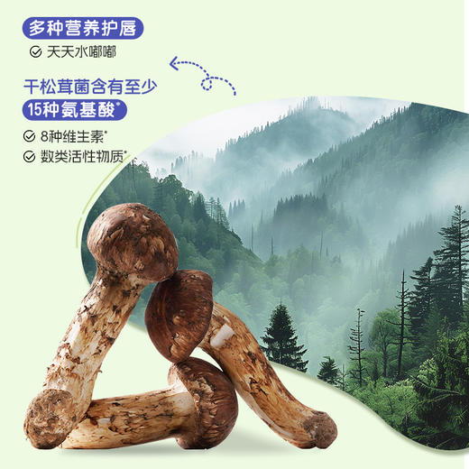 澳雪婴儿高山松茸护唇膏（纯护莓果）+（清润甜奶） 2支装 商品图2