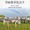 草原散养半只羊礼盒 | 6-8个月的乳羔羊 牧区直供整切不拼接 肉质鲜美 无膻不柴 整切部位齐全 家庭囤货送礼两相宜 商品缩略图9