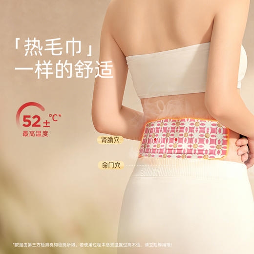 玄参地黄护肾贴  蒸汽热敷   灸膏双效   腰膝酸软   腰腹冰凉 商品图2