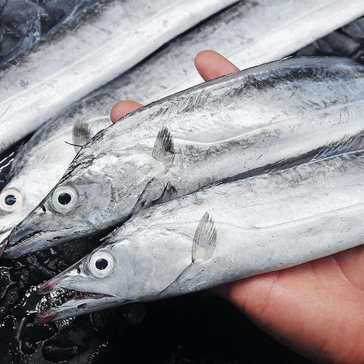 舟山“四大金刚”海鲜大礼包（雷达网带鱼6-8两/条 *3条+小黄鱼8条左右/斤*2斤+银鲳鱼5条左右/斤*1斤+舟山野生手剥白虾仁200g/盒*1盒）原产地直发！ 商品图3