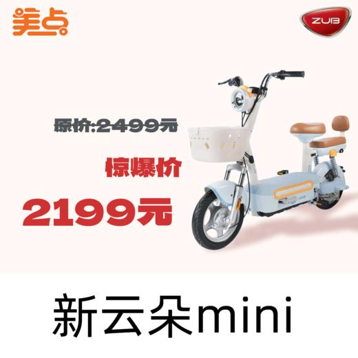 【美点·五星钻豹】新云朵mini【新新国标】 商品图0