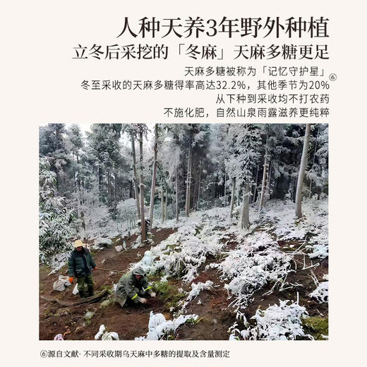 正安 云南昭通天麻 对补充脑子能量有益处 煲汤食材炖汤用料  精选优质原材 乌天麻中心切片 色泽自然胶质通透 130g/罐 商品图8