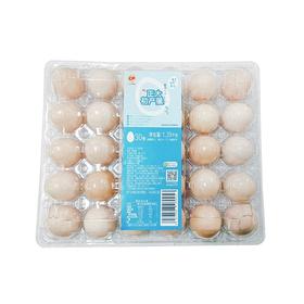 正大30枚初产蛋1.39kg