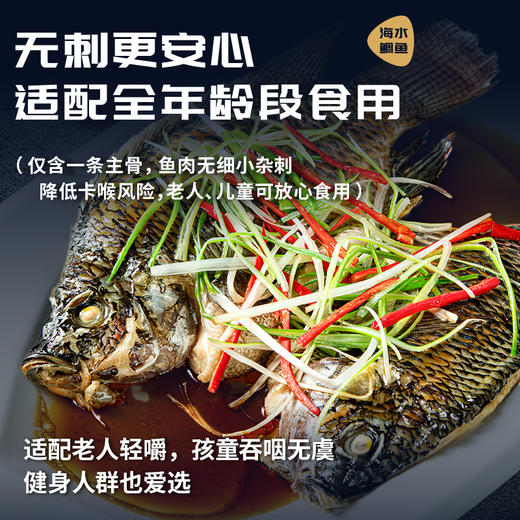 【广东阳江·海水鲷鱼】疯抢中！！顺丰直发【仅含一条主骨无小刺、老人儿童放心吃！】免杀免处理 肉质紧实 鲜美嫩滑 营养丰富 约1500g/冷链包装 商品图11