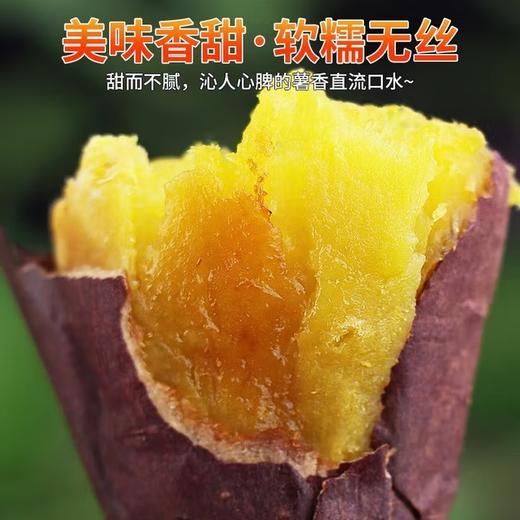 【0317早市】【软糯香甜】榴莲蜜薯 3/5斤 美味香甜软糯无丝 商品图0
