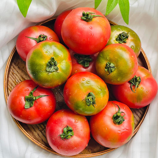 四川攀枝花  草莓番茄  多规格任选 商品图4