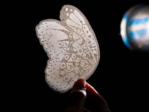 【十点出版】《傅佩荣讲庄子》典藏全三册，全注全解全译，8开庄子画册，8大超值赠礼 商品图6