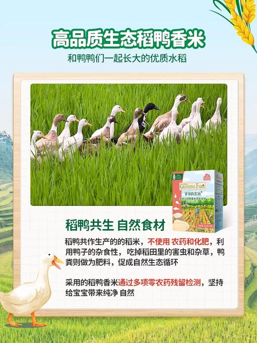 爷爷的农场 婴幼儿稻鸭香米米饼 零食磨牙棒饼干6月+ 商品图1