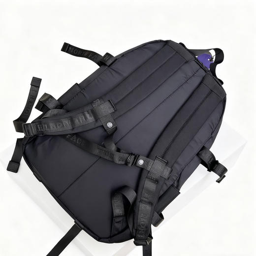 TheNorthFace 北面紫标双肩包。黑色。灰色 商品图11