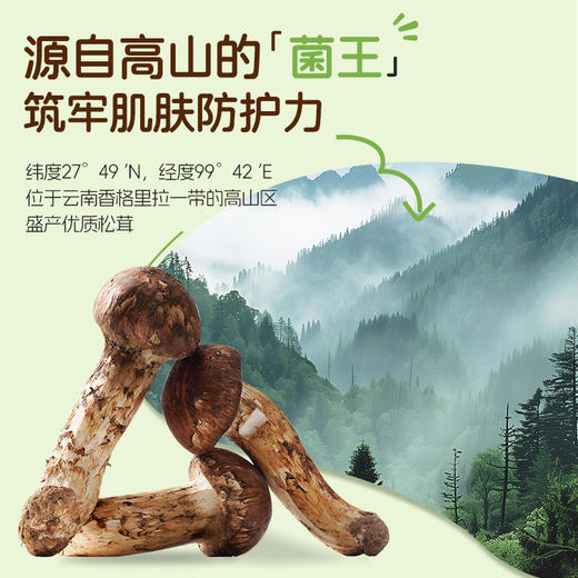 澳雪婴儿高山松茸纯护沐浴露 450ml/1L 商品图3