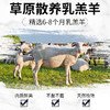 草原散养半只羊礼盒 | 6-8个月的乳羔羊 牧区直供整切不拼接 肉质鲜美 无膻不柴 整切部位齐全 家庭囤货送礼两相宜 商品缩略图2