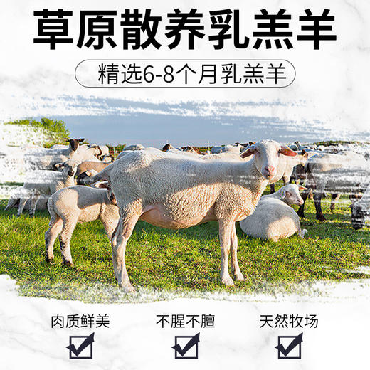 草原散养半只羊礼盒 | 6-8个月的乳羔羊 牧区直供整切不拼接 肉质鲜美 无膻不柴 整切部位齐全 家庭囤货送礼两相宜 商品图2