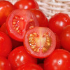 北京  串收樱桃番茄  多规格任选 商品缩略图2