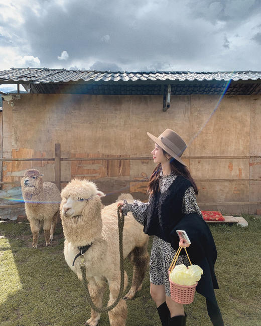 金蘑菇菇【春日奏鸣曲 连衣裙合集】~内搭蕾丝碎花裙 商品图4