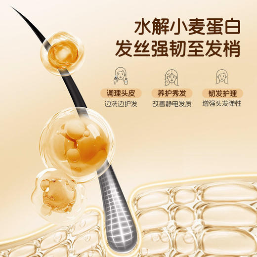 澳雪婴儿高山松茸净爽轻盈洗发水 310ml/1L 商品图4