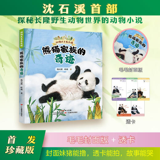 《动物大王在长隆：熊猫家族的奇迹》沈石溪首部探秘长隆野生动物世界的动物小说，三代国宝的家族传奇暖心逗趣的成长故事 商品图2