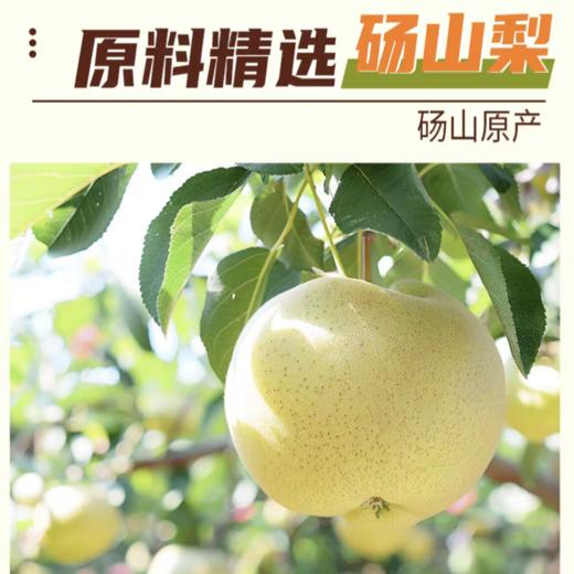 [屁侠推荐]都乐银耳/枇杷炖梨罐头  滋润小罐子400g/罐 商品图1