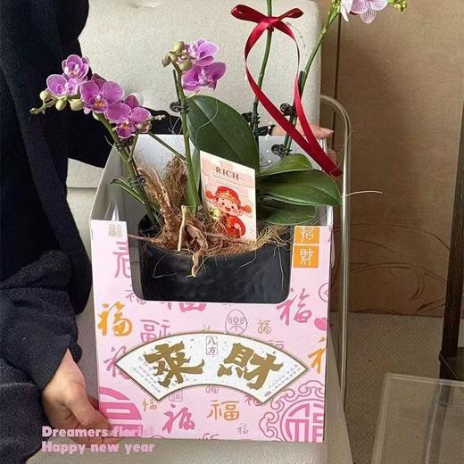 新年盆栽手提盒（2个装） 商品图2