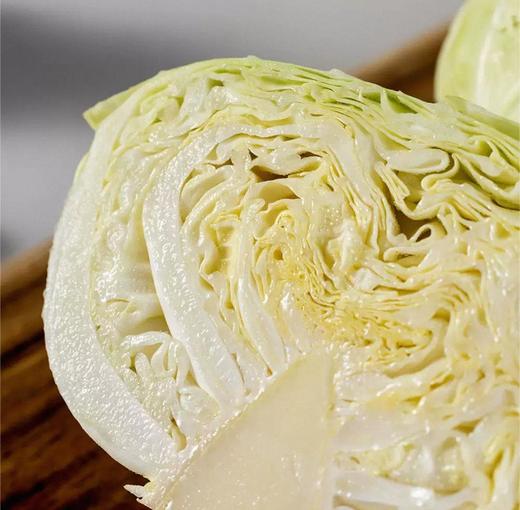 有机水果甘蓝 商品图2