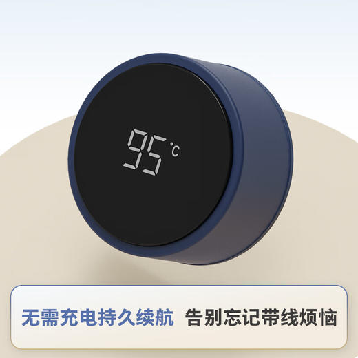 飞利浦PHILIPS温显保温杯SUS316不锈钢带茶漏带提手AWP2569 商品图4