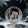 2026年熊猫150克银币带盒 商品缩略图2