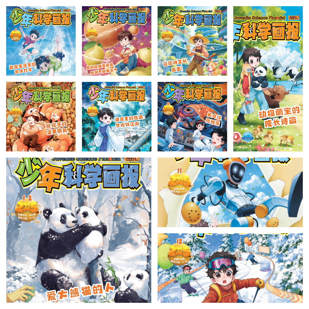2025年《少年科学画报》全年10本一次发出