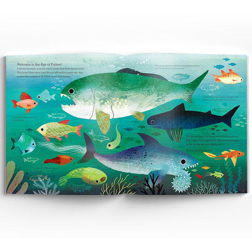 Out Of The Blue 出其不意:动物如何从史前海洋进化而来 精装原版引进 商品图3