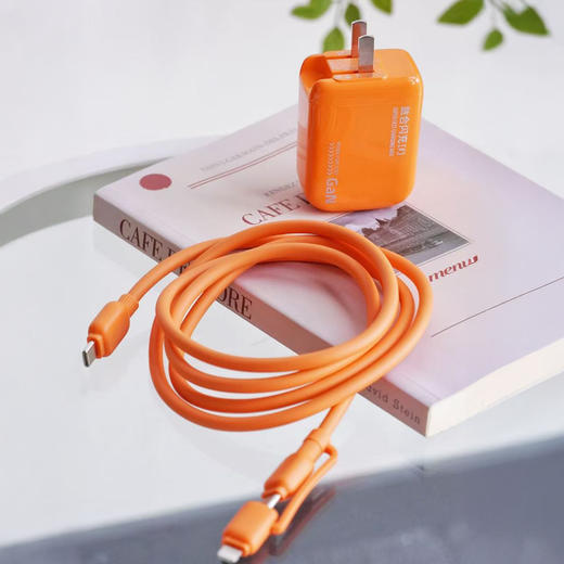 瑞士AURARO小团圆Mini快充低温快充充电器 双接口苹果安卓都可用 告别安全隐患自动断电 第六代半导体芯片 商品图9