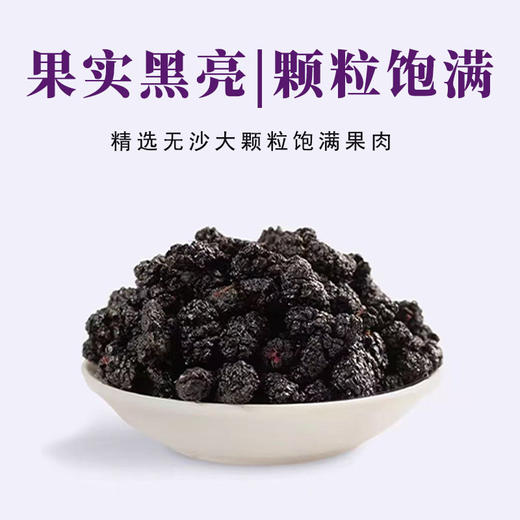 【新货】轩泰医桑葚干 头茬鲜货 大粒无沙桑葚干 升级罐装 250g/罐 商品图0