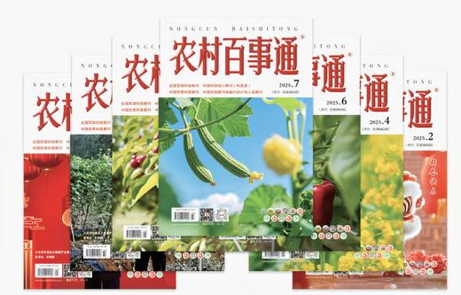 2026年《农村百事通》全年订阅12本（每两期一发） 商品图1