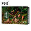 寻味山野—福聚山珍礼盒 （净含量:605克） 商品缩略图4